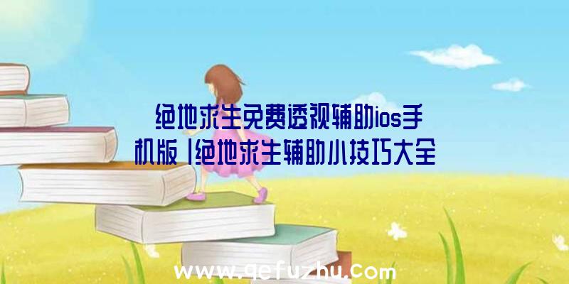 「绝地求生免费透视辅助ios手机版」|绝地求生辅助小技巧大全